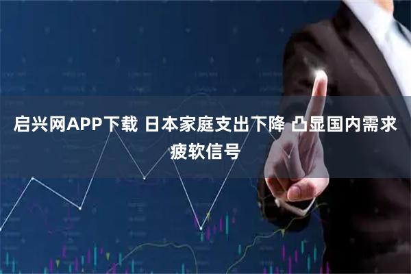 启兴网APP下载 日本家庭支出下降 凸显国内需求疲软信号