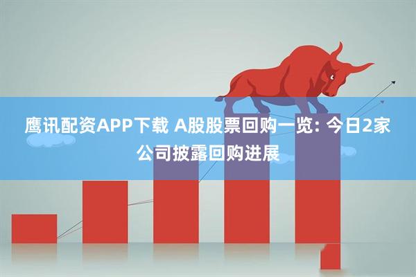 鹰讯配资APP下载 A股股票回购一览: 今日2家公司披露回购进展